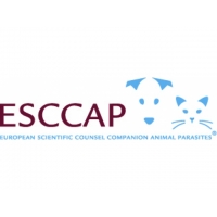 ESCCAP Forum in Lisbon