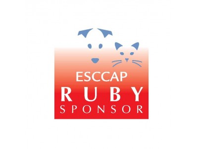 ESCCAP Ruby Sponsors' Meeting – April 2022