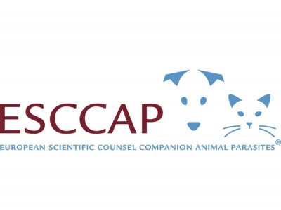 ESCCAP Directors’ Meeting