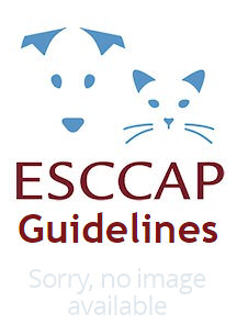 Documents Esccap