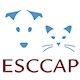 ESCCAP Event
