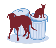 Epidemiological Mapping of Veterinary Data