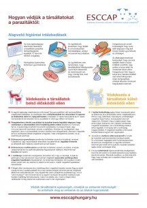 Paraziták a szervezetünkben: mikor gyanakodjunk? - HáziPatika