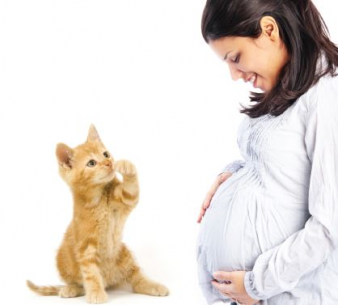 Zwanger? Voorkom Toxoplasma infectie...