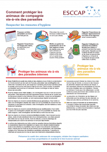 Comment protéger les animaux de compagnie vis-à-vis des parasites