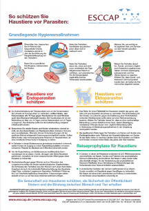 So schützen Sie Haustiere vor Parasiten