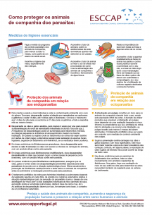 Como proteger os animais de companhia dos parasitas