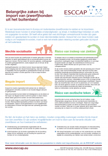 Belangrijke zaken bij import van (zwerf)honden uit het buitenland