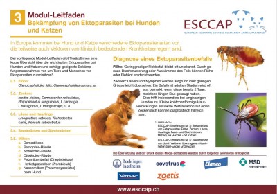 MG3: Bekämpfung von Ektoparasiten bei Hunden und Katzen