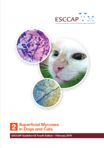 GL2: Superficial Mycoses in Dogs and Cats