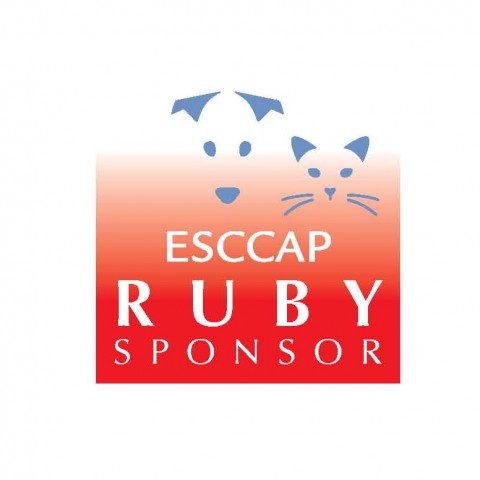 ESCCAP Ruby Sponsors' Meeting – April 2022