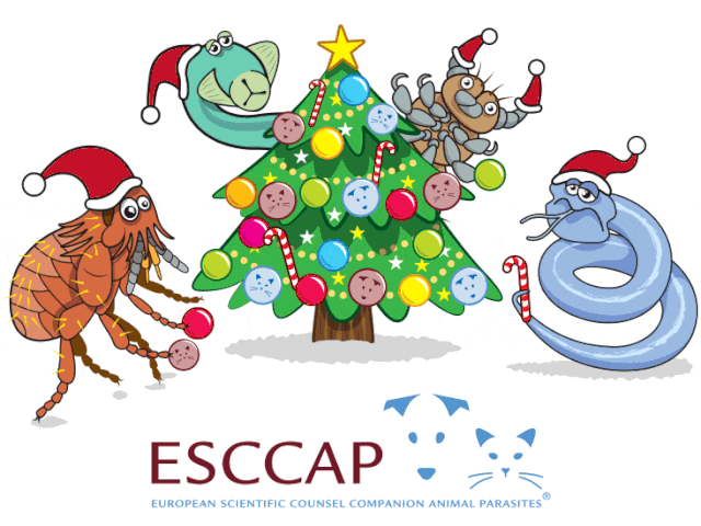 Season's greetings from ESCCAP