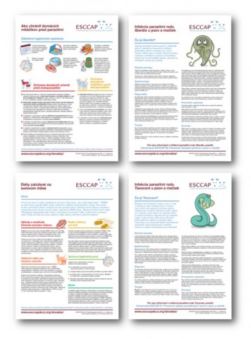 Four ESCCAP fact sheets translated into Slovak