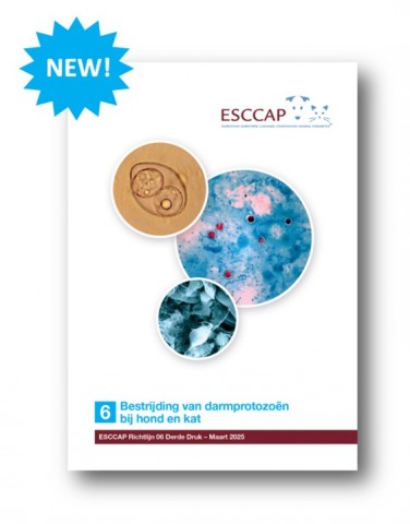 New edition of GL6 available in Dutch