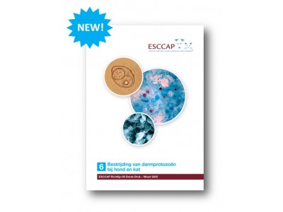 New edition of GL6 available in Dutch