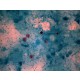 Major update to ESCCAP's guideline on the control of intestinal protozoa in dogs and cats