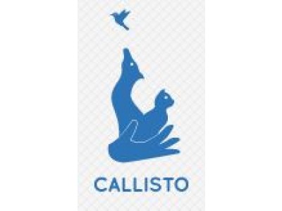 ESCCAP represented at first CALLISTO conference