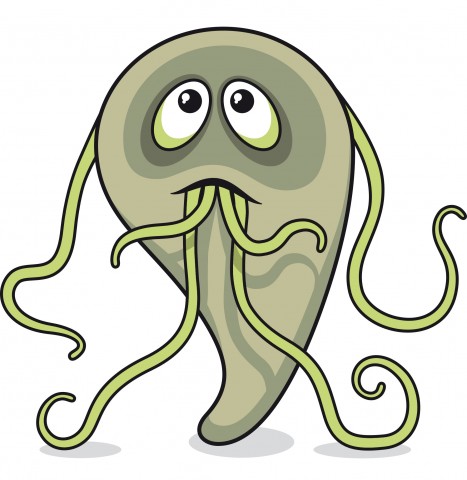 New Giardia fact sheet