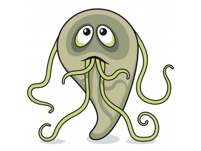 New Giardia fact sheet