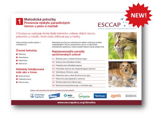 ESCCAP Slovakia & Czechia publishes MG1 in Slovak