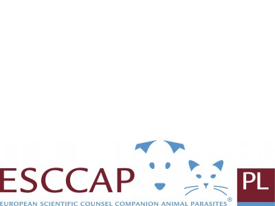 New ESCCAP Poland flyer