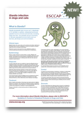 New Giardia fact sheet