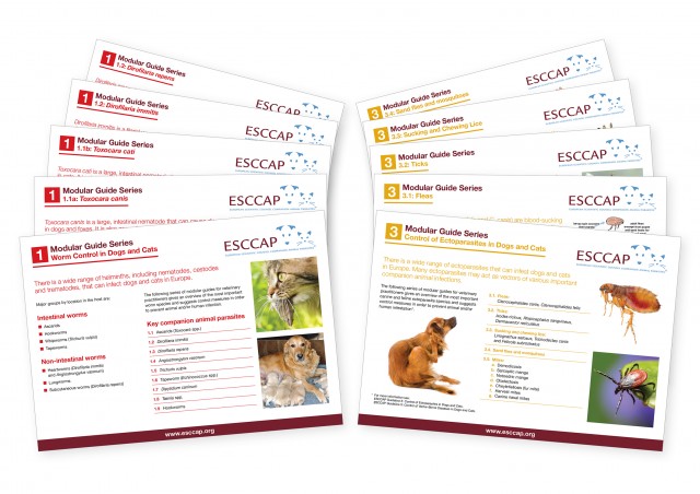 Modular Guide Series 3: Control of Ectoparasites in Cats and Dogs