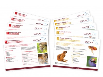 Modular Guide Series 3: Control of Ectoparasites in Cats and Dogs