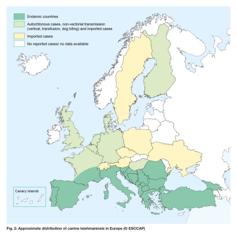 Revised maps