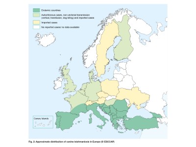 Revised maps