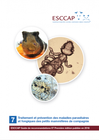 Guideline 7 now available in French