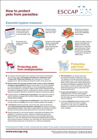 How to protect pets from parasites poster