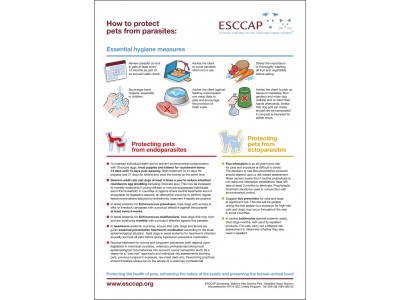 How to protect pets from parasites poster