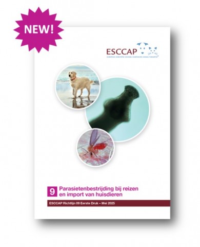 GL9 available in Dutch