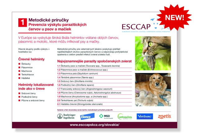 Updated Modular Guide Series 1 translated into Slovak