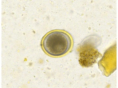 Another New Data Partner