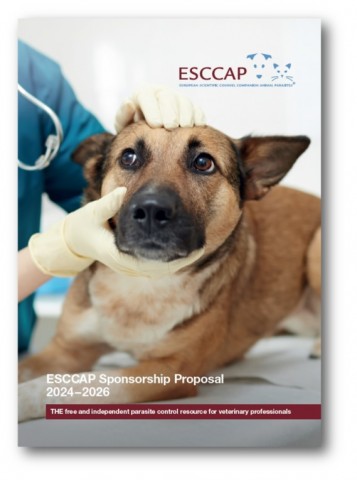 ESCCAP Sponsorship Proposal for 2024–26