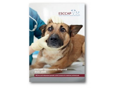 ESCCAP Sponsorship Proposal for 2024–26