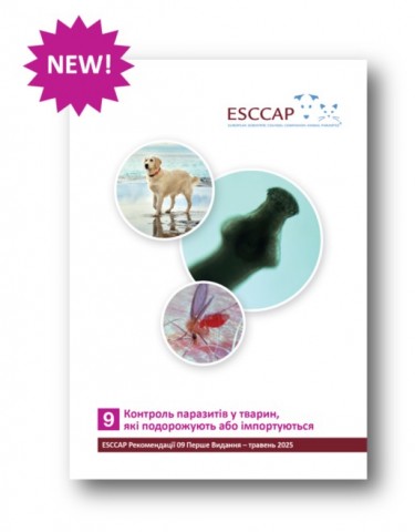 GL9 available in Ukrainian