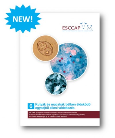 New edition of GL6 available in Hungarian