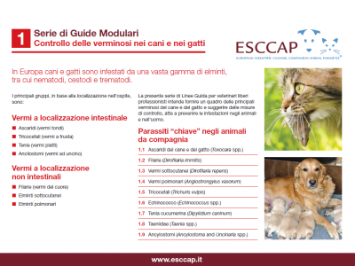 Modular guide 1 now available in Italian