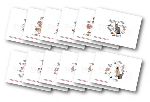 Updated Life Cycles Now Available