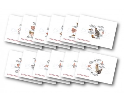 Updated Life Cycles Now Available