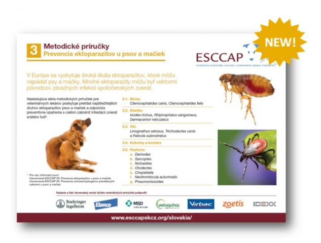 ESCCAP Slovakia & Czechia publishes MG3 in Slovak