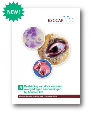 New edition of GL5 available in Dutch