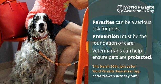 World Parasite Awareness Day 2026