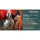 World Parasite Awareness Day 2026