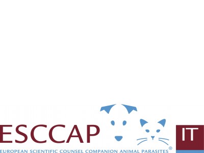 New Italian translation of ESCCAP guideline and therapy tables