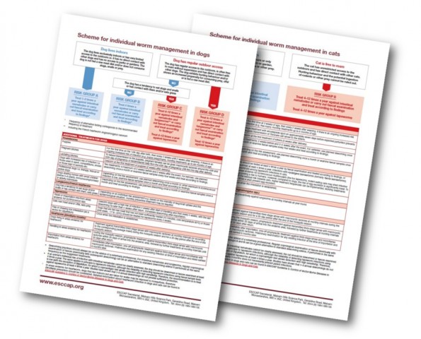 Updated schemes for individual worm management in dogs and cats