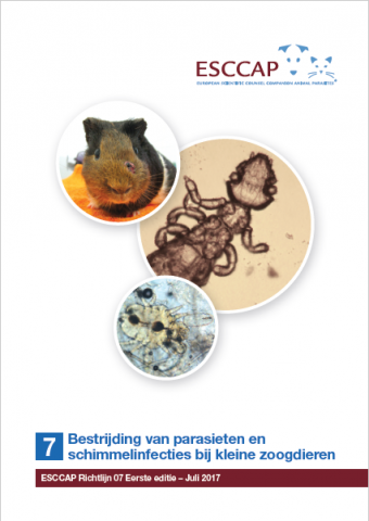 Guideline 7 now available in Dutch